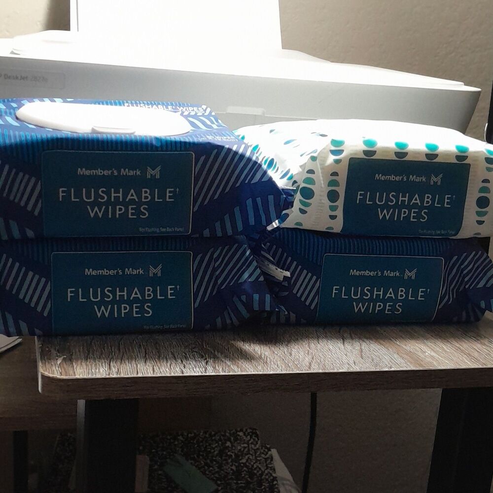 Member's Mark Flushable Wipes,4 Pck x 60-Count Pack, 7 in x 5.25 in
